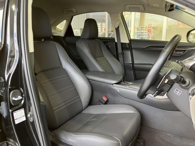 LEXUS NX300