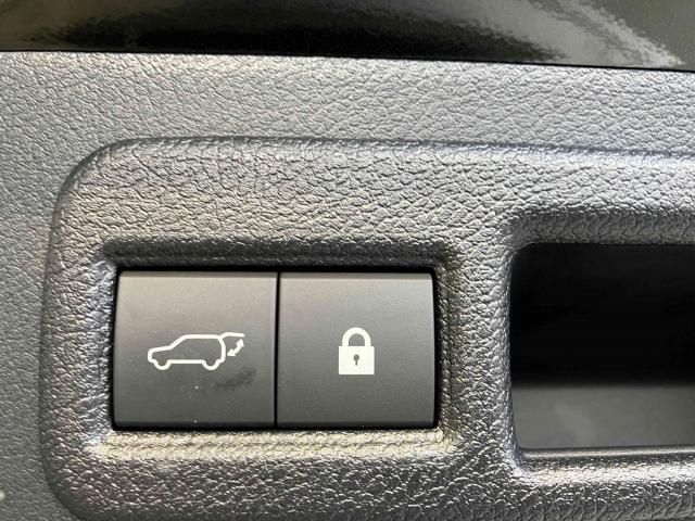 LEXUS NX300