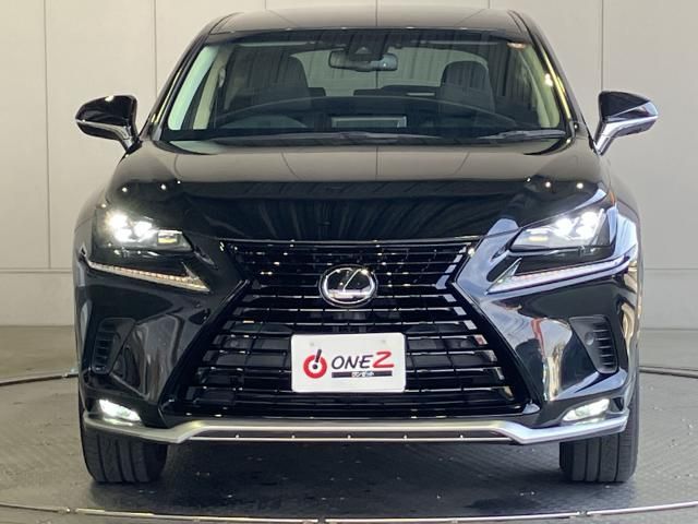 LEXUS NX300