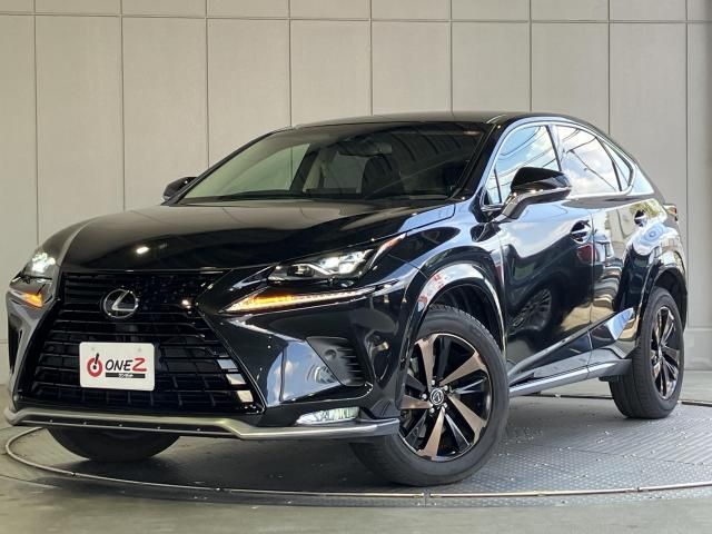 LEXUS NX300