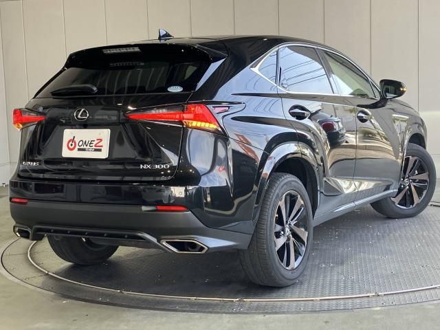 LEXUS NX300