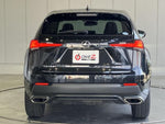 LEXUS NX300