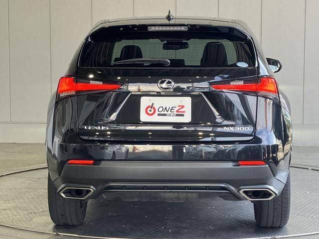 LEXUS NX300