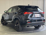 LEXUS NX300
