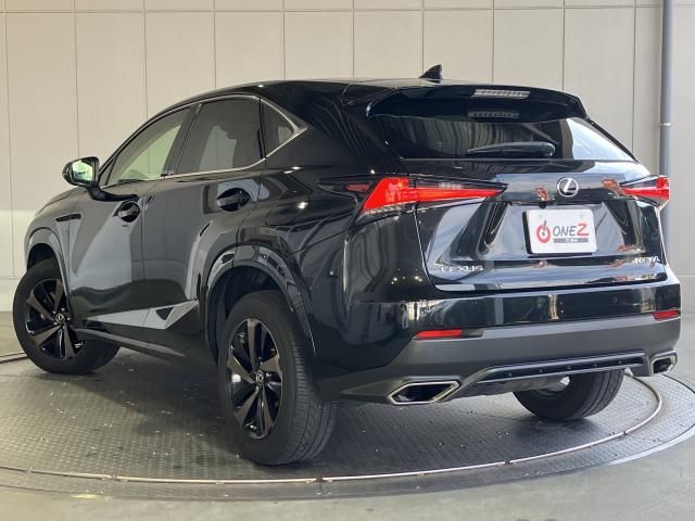 LEXUS NX300
