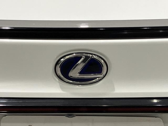LEXUS IS300h