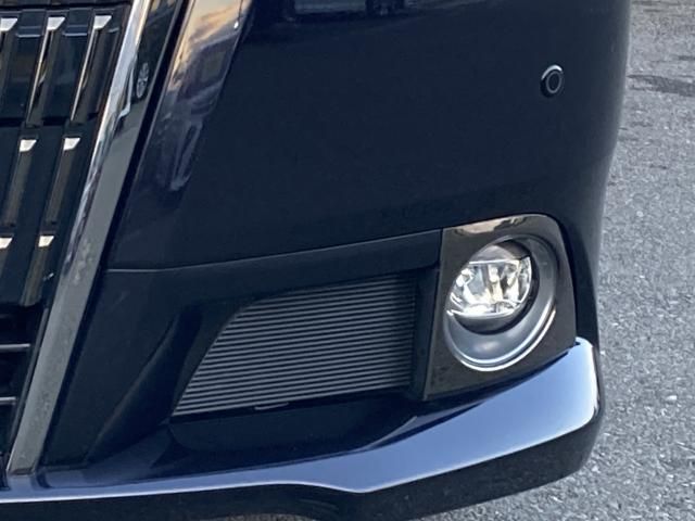 ESQUIRE HYBRID