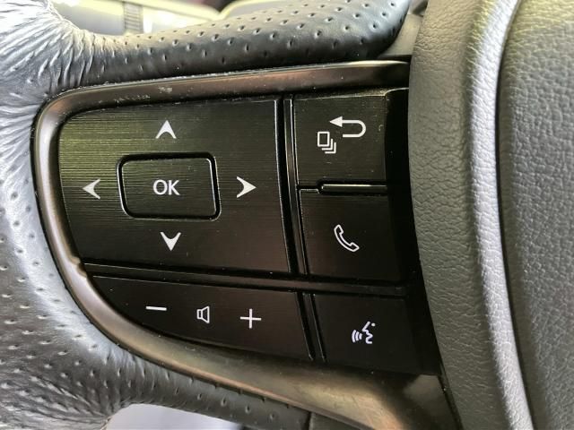 LEXUS ES300h