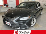 LEXUS ES300h