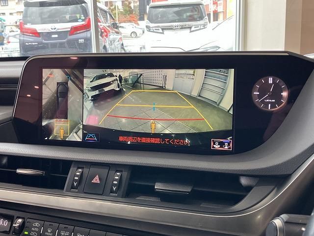 LEXUS ES300h