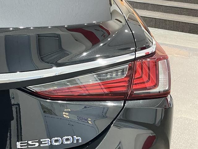 LEXUS ES300h