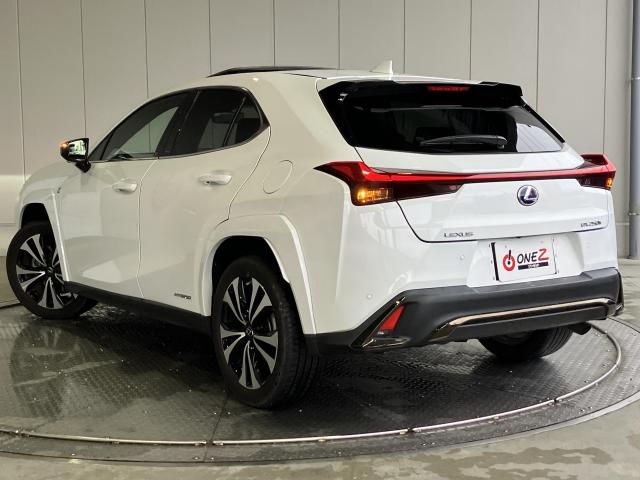 LEXUS UX250h