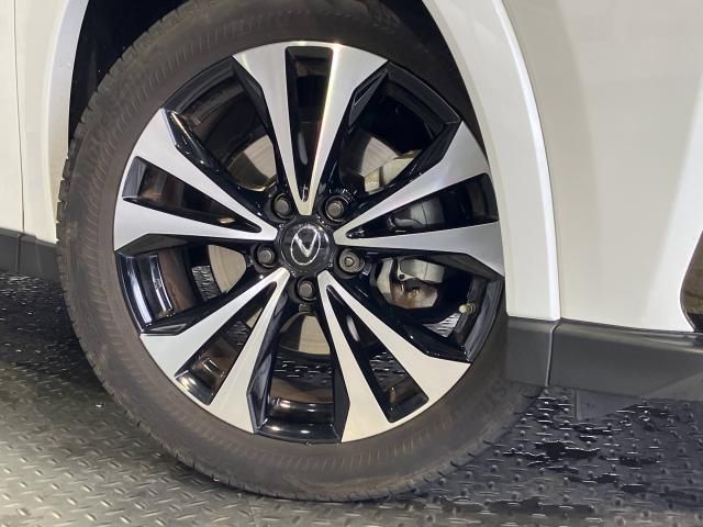 LEXUS UX250h