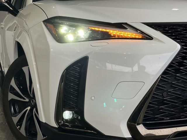 LEXUS UX250h