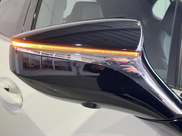 LEXUS UX250h