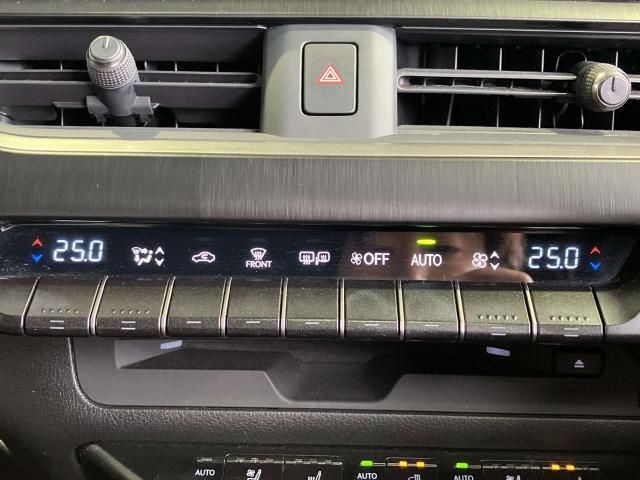 LEXUS UX250h