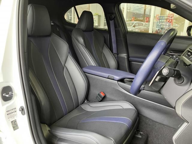 LEXUS UX250h