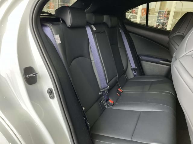 LEXUS UX250h