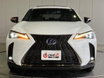 LEXUS UX250h