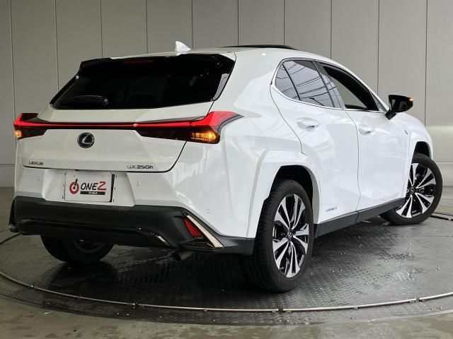 LEXUS UX250h