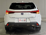LEXUS UX250h
