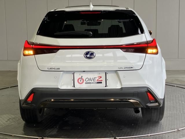 LEXUS UX250h