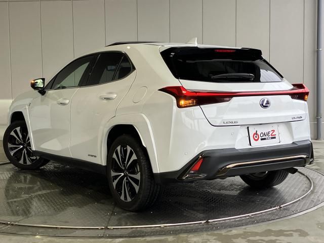 LEXUS UX250h