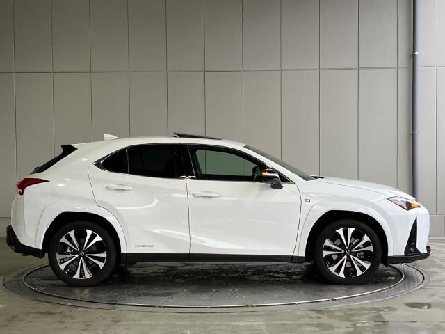 LEXUS UX250h