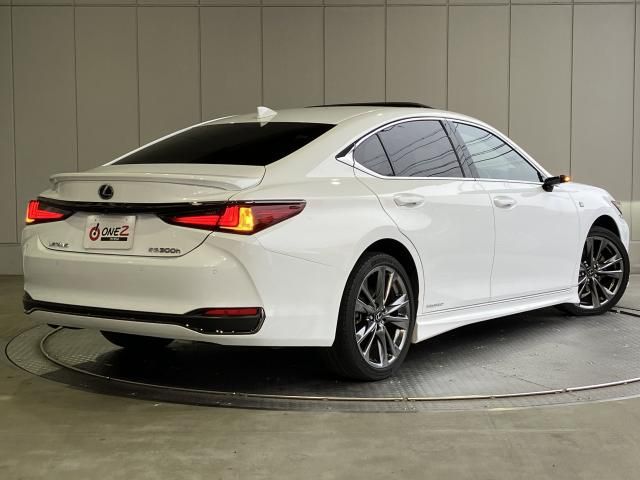 LEXUS ES300h