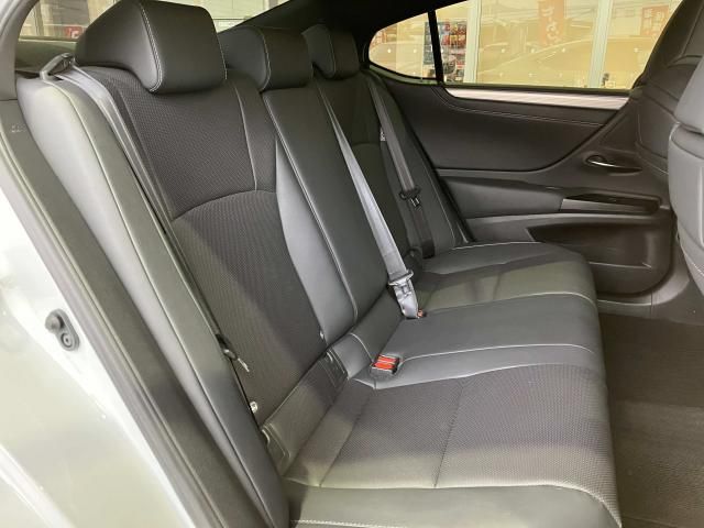LEXUS ES300h