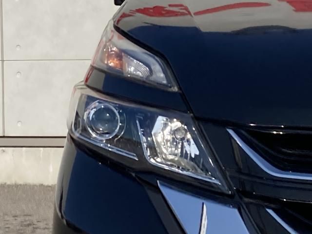 SERENA  S-HYBRID