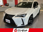 LEXUS UX250h