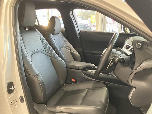 LEXUS UX250h