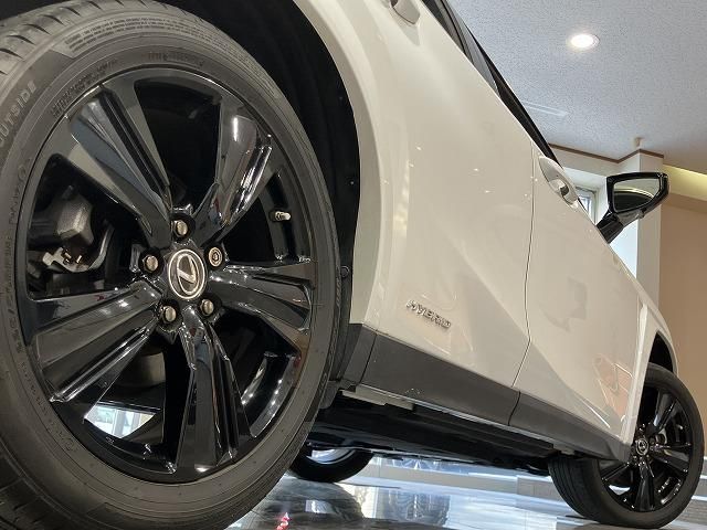 LEXUS UX250h