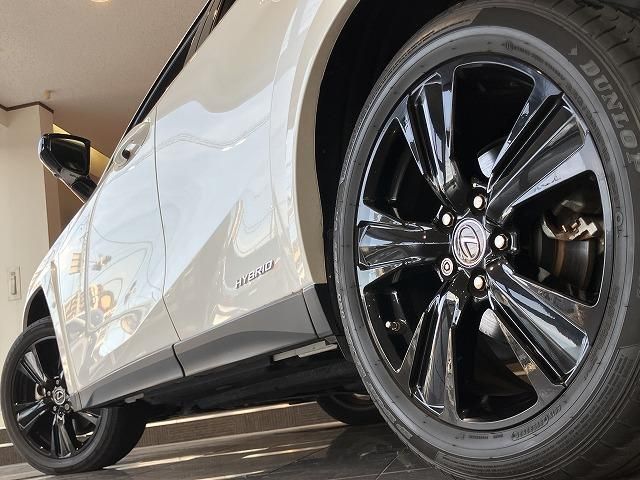 LEXUS UX250h