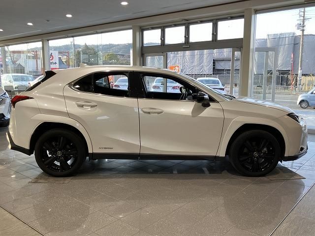 LEXUS UX250h