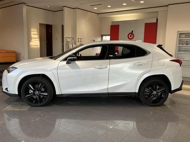 LEXUS UX250h