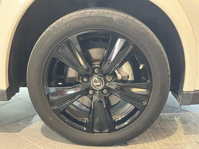 LEXUS UX250h