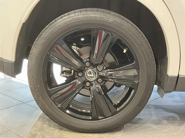 LEXUS UX250h