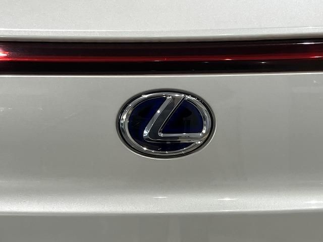 LEXUS UX250h