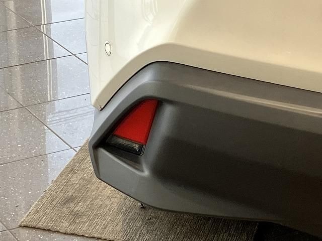 LEXUS UX250h