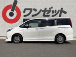 ESQUIRE HYBRID