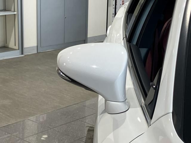 LEXUS IS300h