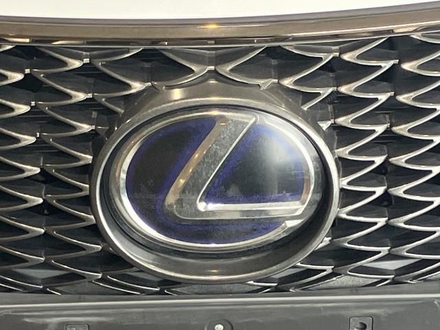 LEXUS IS300h