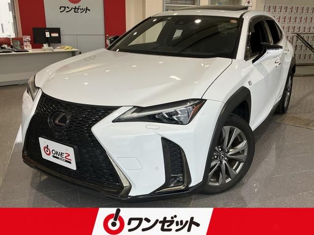 LEXUS UX250h