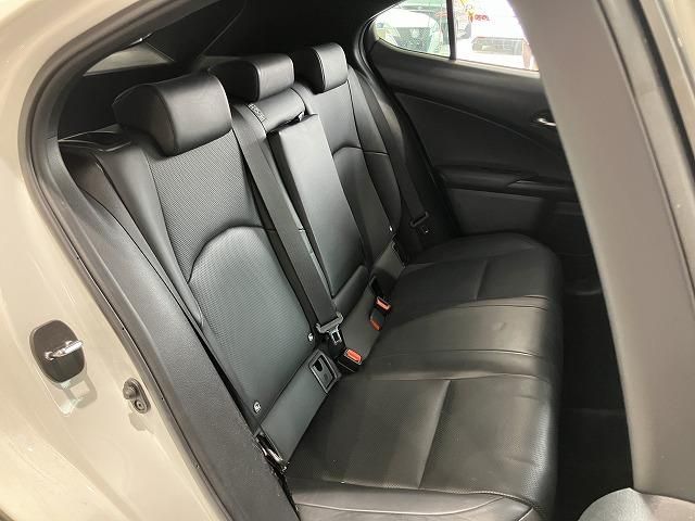 LEXUS UX250h