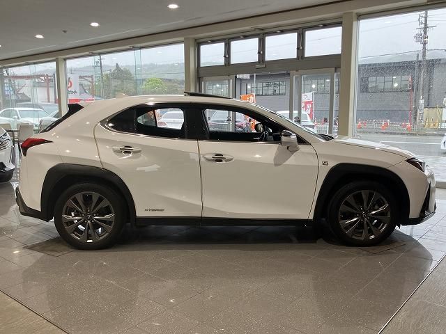 LEXUS UX250h