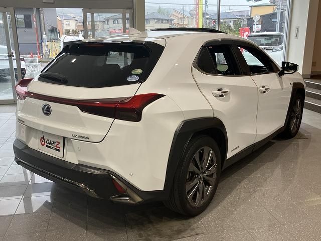 LEXUS UX250h