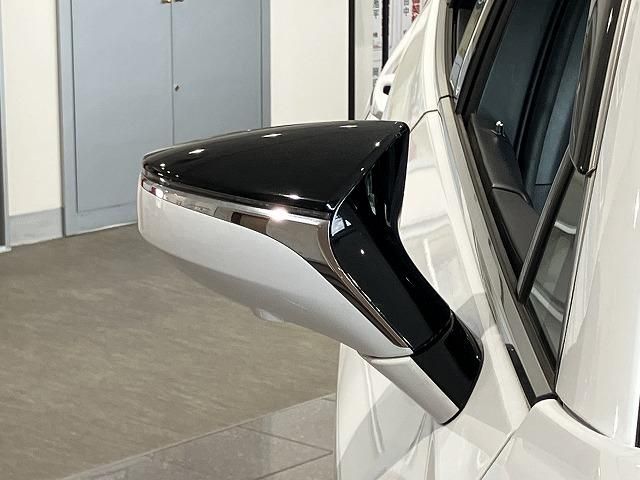 LEXUS UX250h