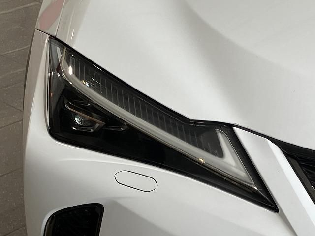 LEXUS UX250h